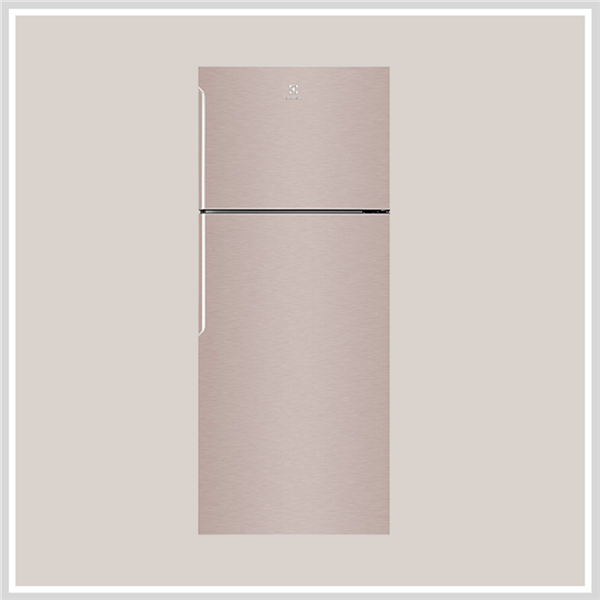 Tủ Lạnh Model 2019 Electrolux ETB4600B-G
